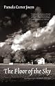 The Floor of the Sky (Flyover Fiction) by Pamela Carter Joern