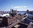 Baltimore's Inner Harbor - Striking 16x20-inch Photographic Print by Carol M. Highsmith