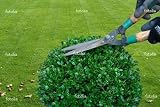 'Gardening' Wall Decal - 72