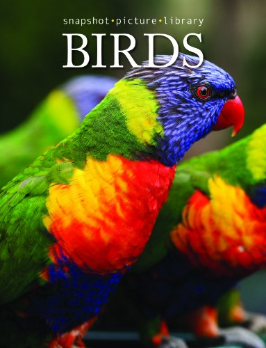 Snapshot Picture Library Birds