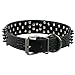 Berry Pet Spiked Leather Dog Collar - 3 Rows Bullet Rivets Studded PU Leather - Cool Skull Pet Accessories Best Choice for Medium and Large Dogs,Black 21-24