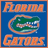 Turner Florida Gators Paper Cube (8080082)
