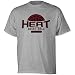 adidas Miami Heat #6 LeBron James Ash Jump Ball T-shirt