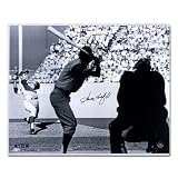 Los Angeles Dodgers Sandy Koufax Wind up 16x20 Unframed (MLB Authenticated)
