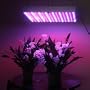 LED Wholesalers 2501MX Blue/Red 225 LED 13.8 Watt Square Grow Light Panel 110 Volt