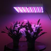 Hydroponic Lamp 225 LED Grow light Panel Red Blue 110 V