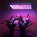 LED Wholesalers 2501MX Blue/Red 225 LED 13.8 Watt Square Grow Light Panel 110 Volt