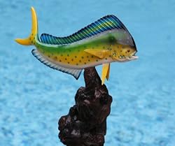 Taxidermy 12" Fiberglass Mahi Mahi Fish Statue
