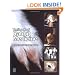 Textbook of Rabbit Medicine