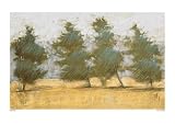 Afternoon Haze - Artist: John Kelley - Art Print Poster Size: 27.50 by 19.50 inches