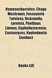 Hymenochaetales: Chaga Mushroom, Fuscoporia Torulosa, Rickenella, Loreleia, Phellinus Linteus, Cyphellostereum, Contumyces, Hyphodontia-