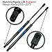 2pcs 6137 Rear Hatch Trunk Tailgate Liftgate Gas Lift Supports Struts Shocks for Nissan Xterra 2005-2013 90450ZL80A 90450EA00