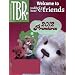 Teddy Bear Review