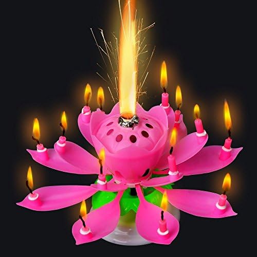Allife® Amazing Romantic Musical Lotus Rotating Birthday Candle, White, Yellow, Pink (2 PCS Pink)