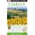 Umbria (Eyewitness Travel Guide)