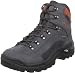 Lowa Men's Renegade II GTX Mid Hiking Boot