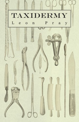 Taxidermy, by Leon Pray