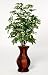 House of Silk Flowers Artificial Variegated Schefflera Floor Plant 24W x 42H