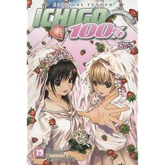 Ichigo 100%, Tome 19 :