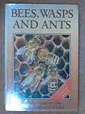 Bees, wasps and ants