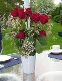 Flower Vase- Great Centerpiece for Tables with Umbrellas - The Le Vas 2 Piece Flower Vase easily snaps around your umbrella pole coming up through your table and allows you to show off your favorite flowers Slim and elegant lines will not overbear the rest of your table or block your views Polar White in color