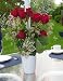 Flower Vase- Great Centerpiece for Tables with Umbrellas - The Le Vas 2 Piece Flower Vase easily snaps around your umbrella pole coming up through your table and allows you to show off your favorite flowers. Slim and elegant lines will not overbear the rest of your table or block your views. Polar White in color