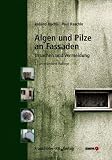 Algen und Pilze an Fassaden: Ursachen und Vermeidung - Paul Raschle, Roland Buechli