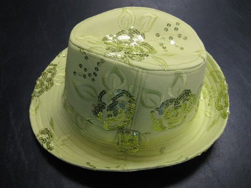 Sequin Floral Fedora / Minty Green