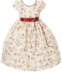 Girls Short Sleeves  Lace Jacquard Floral Print  Dress With a Bow(s) and a Sash 