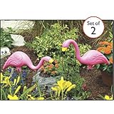 Pink Flamingo Pair