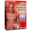 The Human Body