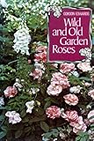 Wild and old garden roses