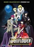 Buy : The Wallflower: Complete Collection, Pt. 2 [DVD] [Region 1] [US Import] [NTSC]