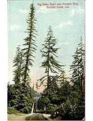 Entertainment Memorabilia: Big Basin Road Boulder Creek, California Original Vintage Postcard - M. Rieder Publisher