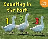 Counting at the park