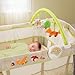 Summer Grow with Me Playard and Changer, Fox and Friends