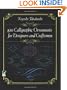 850 Calligraphic Ornaments for Designers and Craftsmen (Dover Pictorial Archive)