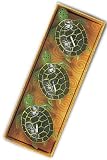 Hawaii Honu Sea Turtle Floating Scented Candles - 3 Pack
