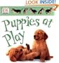 Soft--to--Touch Board Book: Puppies at Play (Soft--to--Touch)