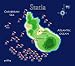 Statia Dive Map