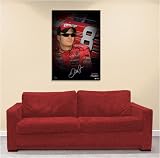 Dale Earnhardt Jr. Nascar Poster / Print