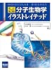 分子生物学イラストレイテッド 改訂第3版
