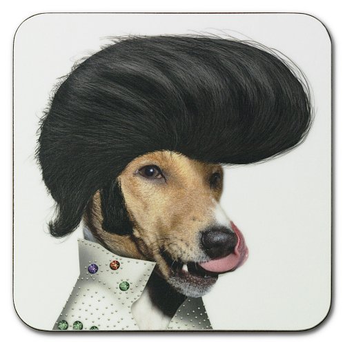 Takkoda Elvis Dog Animal Coaster