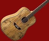 NEW PRO WASHBURN SOUTHWEST SERIES ACOUSTIC GUITAR D46SP