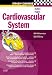 Crash Course: Cardiovascular System (Crash Course-UK)