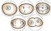 Set of 5 MITOSIS Cell Division 1.25" MAGNETS