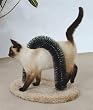 Feline Fantasy Brush