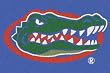 Florida Gators 3' 10" x 5' 4" Team Spirit Area Rug