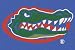 Florida Gators 3' 10" x 5' 4" Team Spirit Area Rug