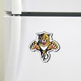 NHL Florida Panthers High Definition Magnet